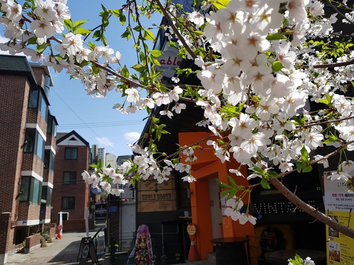 Able Guesthouse Hongdae Seul Exterior foto